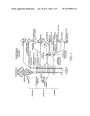 ELECTRICAL STIMULATION OF THE SYMPATHETIC NERVE CHAIN diagram and image