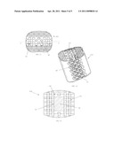 Radiolucent spinal fusion cage diagram and image