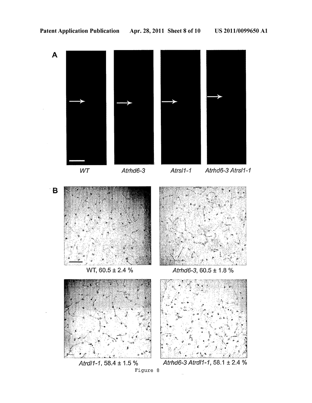 COMPOSITIONS AND METHOD FOR MODULATING PLANT ROOT HAIR DEVELOPMENT - diagram, schematic, and image 09