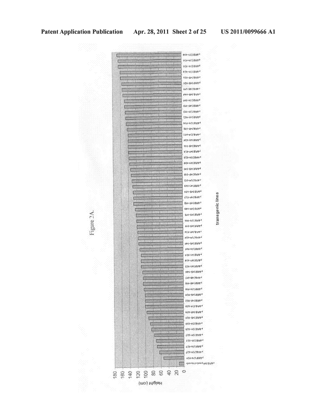 MODIFICATION OF PLANT LIGNIN CONTENT - diagram, schematic, and image 03