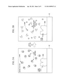 STAGE FOR SCANNING PROBE MICROSCOPY AND SAMPLE OBSERVATION METHOD diagram and image