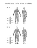 Apparel diagram and image