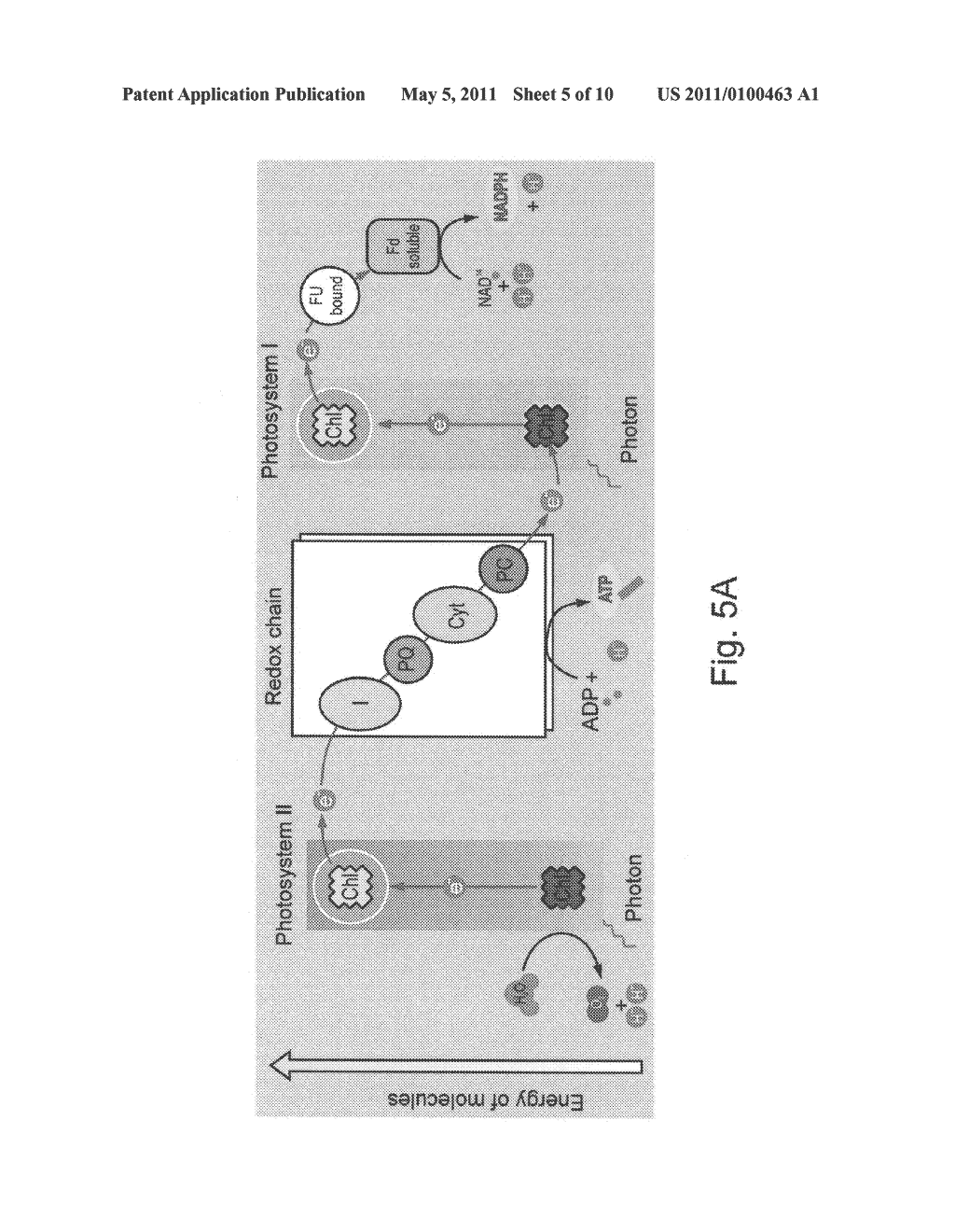 SOLAR POWER GENERATION USING PHOTOSYNTHESIS - diagram, schematic, and image 06