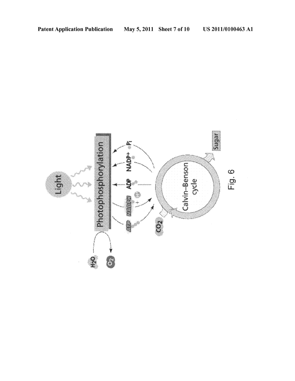 SOLAR POWER GENERATION USING PHOTOSYNTHESIS - diagram, schematic, and image 08