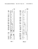 HIGH EFFICIENCY FLUID PUMPING APPARATUS AND METHOD diagram and image