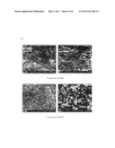 ALUMINUM-CONTAINING ZINC OXIDE-BASED n-TYPE THERMOELECTRIC CONVERSION MATERIAL diagram and image