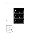 WAFER-SCALE FABRICATION OF SEPARATED CARBON NANOTUBE THIN-FILM TRANSISTORS diagram and image