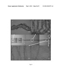 METHOD OF MAKING COILED AND BUCKLED ELECTROSPUN FIBER STRUCTURES diagram and image