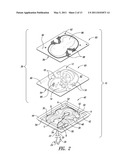 LIGHTING DISPLAY HAVING ANIMATED EFFECT diagram and image