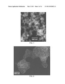 ELECTRODE AND SENSOR HAVING CARBON NANOSTRUCTURES diagram and image