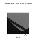 ELECTRODE AND SENSOR HAVING CARBON NANOSTRUCTURES diagram and image