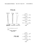 ZOOM OPTICAL SYSTEM, OPTICAL APPARATUS AND METHOD FOR MANUFACTURING ZOOM OPTICAL SYSTEM diagram and image