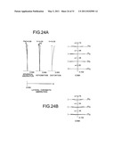 ZOOM OPTICAL SYSTEM, OPTICAL APPARATUS AND METHOD FOR MANUFACTURING ZOOM OPTICAL SYSTEM diagram and image