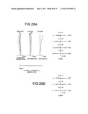 ZOOM OPTICAL SYSTEM, OPTICAL APPARATUS AND METHOD FOR MANUFACTURING ZOOM OPTICAL SYSTEM diagram and image