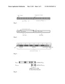 METHOD AND APPARATUS FOR SYNCHRONIZING HIGHLY COMPRESSED ENHANCEMENT LAYER DATA diagram and image