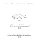 INTERPOLATION OF VIDEO COMPRESSION FRAMES diagram and image