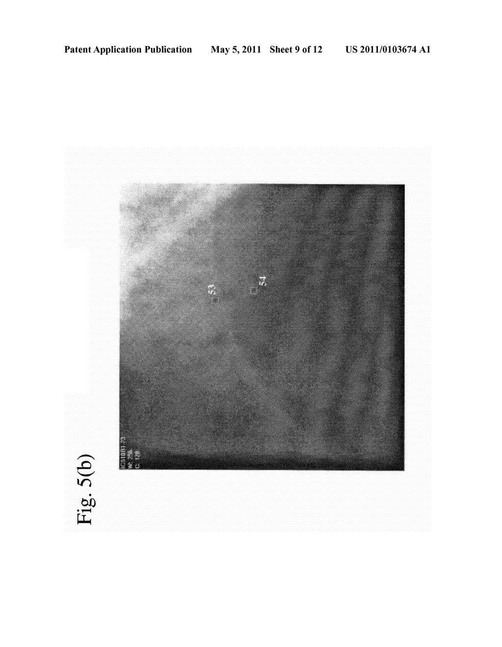 MARKER DETECTION IN X-RAY IMAGES - diagram, schematic, and image 10