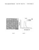 INSTRUMENT AND PROCESS FOR NANOPARTICLES PRODUCTION IN CONTINUOUS FLOW MODE diagram and image