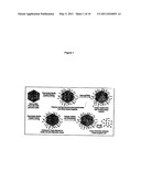 Chemically Modified Viral Capsids as Targeted Delivery Vectors for Diagnostic and Therapeutic Agents diagram and image
