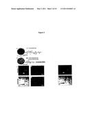 Chemically Modified Viral Capsids as Targeted Delivery Vectors for Diagnostic and Therapeutic Agents diagram and image