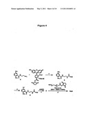 Chemically Modified Viral Capsids as Targeted Delivery Vectors for Diagnostic and Therapeutic Agents diagram and image