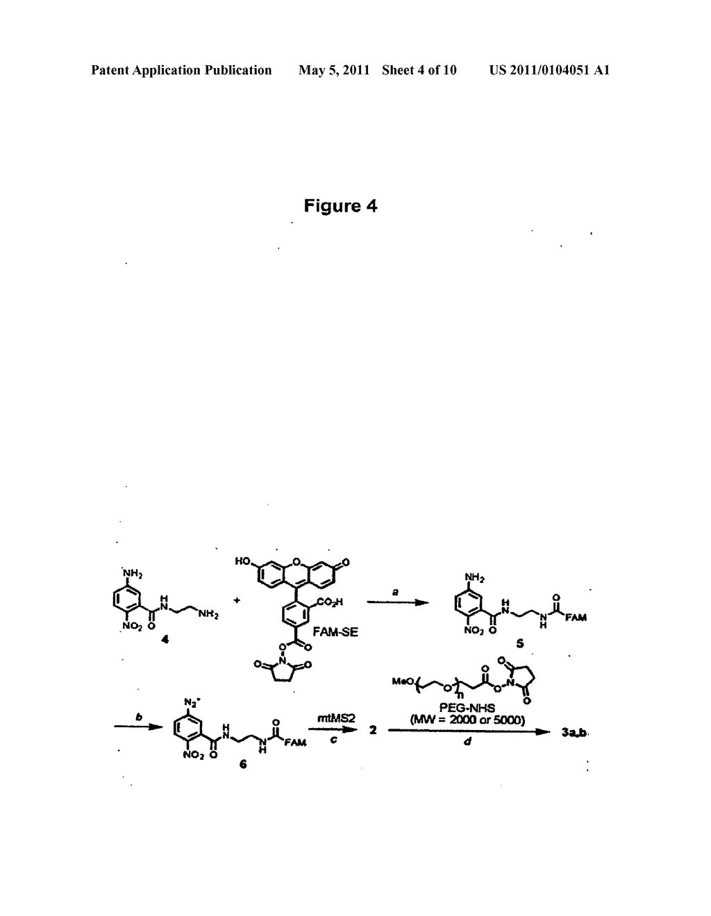 Chemically Modified Viral Capsids as Targeted Delivery Vectors for Diagnostic and Therapeutic Agents - diagram, schematic, and image 05