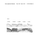 Biomarkers for Head-And-Neck Cancers and Precancers diagram and image