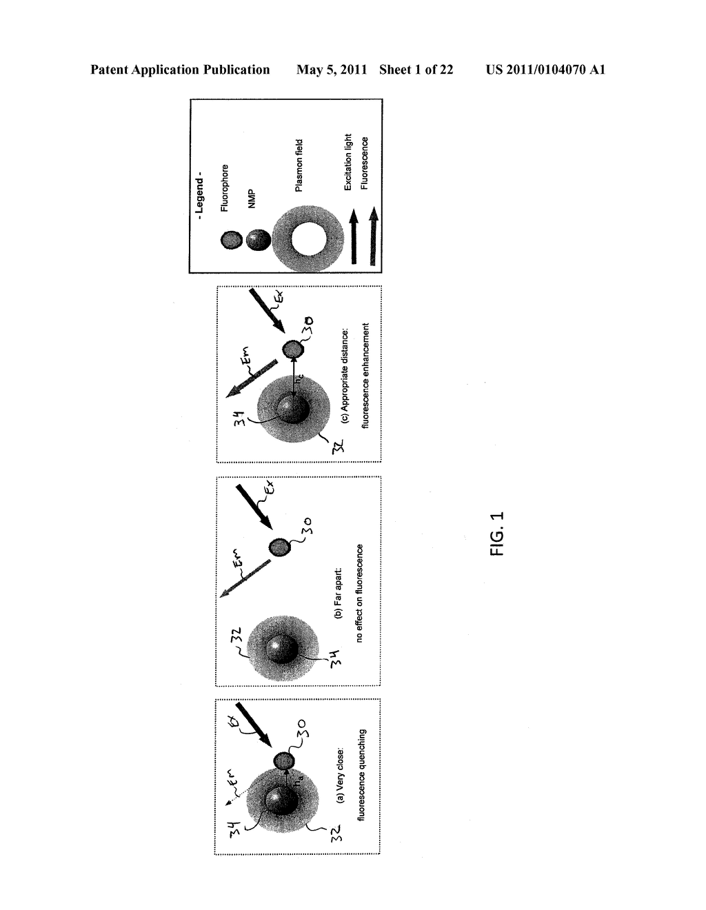 SITE SPECIFIC FLUORESCENCE AND CONTRAST MARKER FOR SAME - diagram, schematic, and image 02