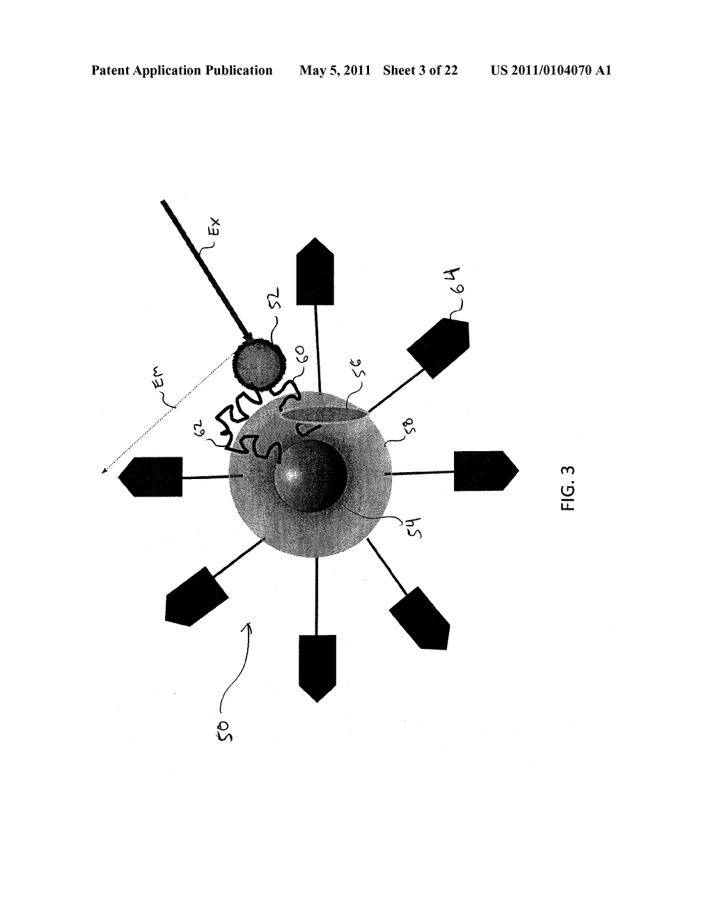 SITE SPECIFIC FLUORESCENCE AND CONTRAST MARKER FOR SAME - diagram, schematic, and image 04