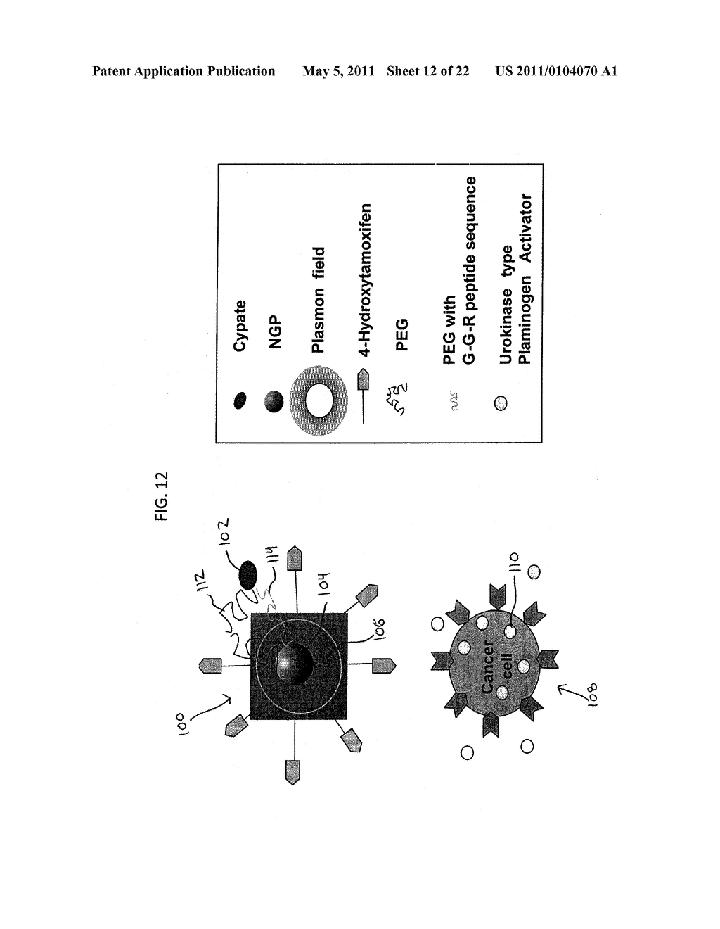 SITE SPECIFIC FLUORESCENCE AND CONTRAST MARKER FOR SAME - diagram, schematic, and image 13