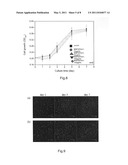 Magnetic nanocomposite with multi-biofunctional groups and method for fabricating the same diagram and image