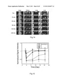 Magnetic nanocomposite with multi-biofunctional groups and method for fabricating the same diagram and image