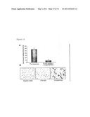 Method of conjugating therapeutic compounds to cell targeting devices via metal complexes diagram and image