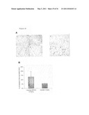 Method of conjugating therapeutic compounds to cell targeting devices via metal complexes diagram and image