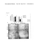 Method of conjugating therapeutic compounds to cell targeting devices via metal complexes diagram and image