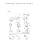 Method of conjugating therapeutic compounds to cell targeting devices via metal complexes diagram and image