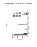 T CELL RECEPTORS AND RELATED MATERIALS AND METHODS OF USE diagram and image