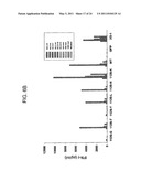 T CELL RECEPTORS AND RELATED MATERIALS AND METHODS OF USE diagram and image