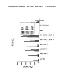 T CELL RECEPTORS AND RELATED MATERIALS AND METHODS OF USE diagram and image