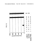 T CELL RECEPTORS AND RELATED MATERIALS AND METHODS OF USE diagram and image