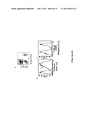 METHODS AND COMPOSITIONS FOR INDUCING BROWN ADIPOGENESIS diagram and image