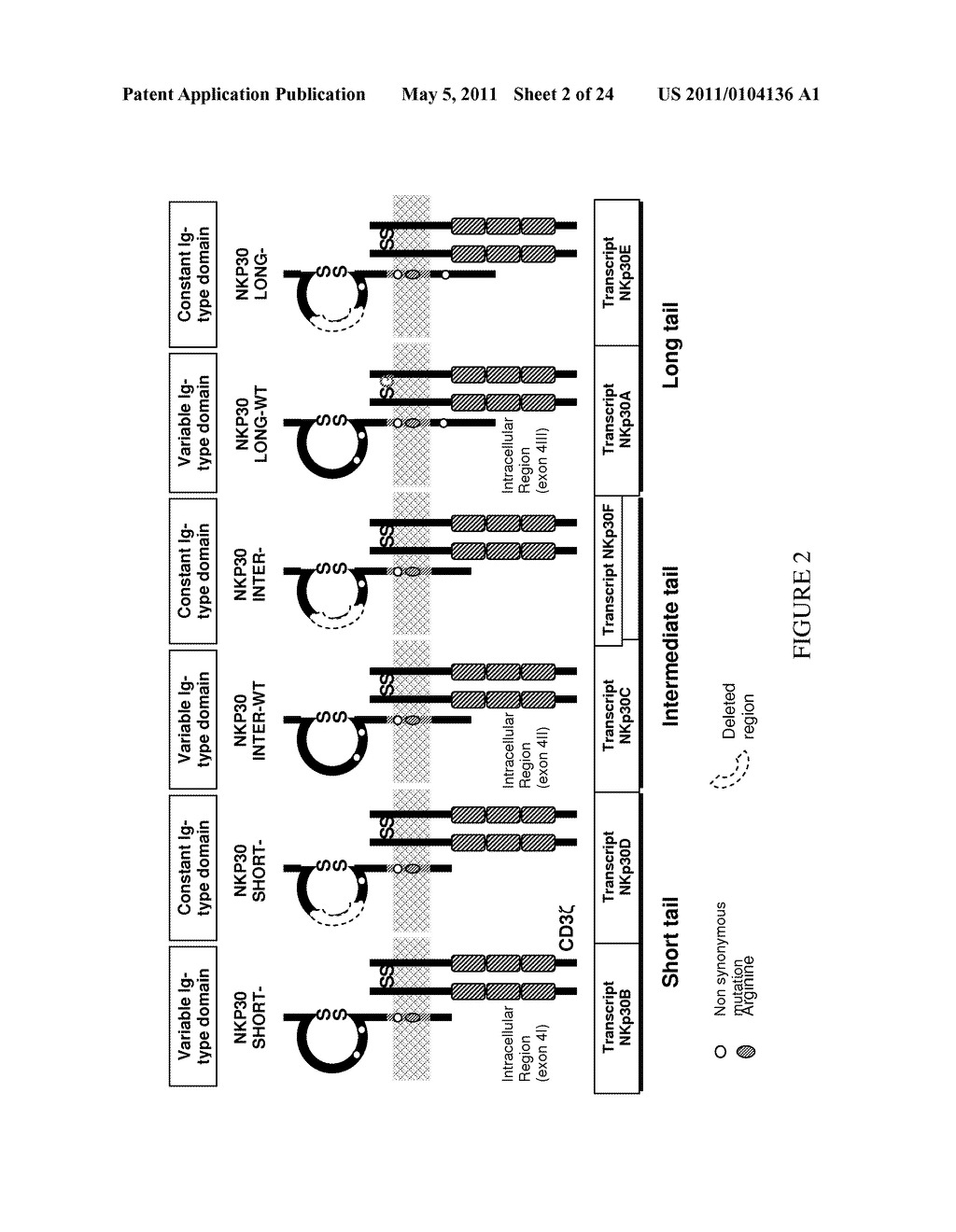 Natural Killer p30 (NKp30) Dysfunction and the Biological Applications Thereof - diagram, schematic, and image 03