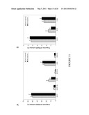 Natural Killer p30 (NKp30) Dysfunction and the Biological Applications Thereof diagram and image