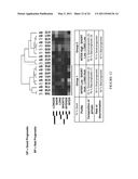 Natural Killer p30 (NKp30) Dysfunction and the Biological Applications Thereof diagram and image