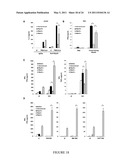 Natural Killer p30 (NKp30) Dysfunction and the Biological Applications Thereof diagram and image