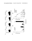 Natural Killer p30 (NKp30) Dysfunction and the Biological Applications Thereof diagram and image