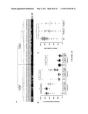 Natural Killer p30 (NKp30) Dysfunction and the Biological Applications Thereof diagram and image