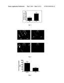 ANTITHROMBOTIC AGENTS AND METHODS OF USE THEREOF diagram and image