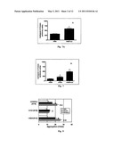 ANTITHROMBOTIC AGENTS AND METHODS OF USE THEREOF diagram and image