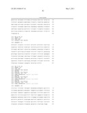 Identification of Tumor-Associated Markers for Diagnosis and Therapy diagram and image